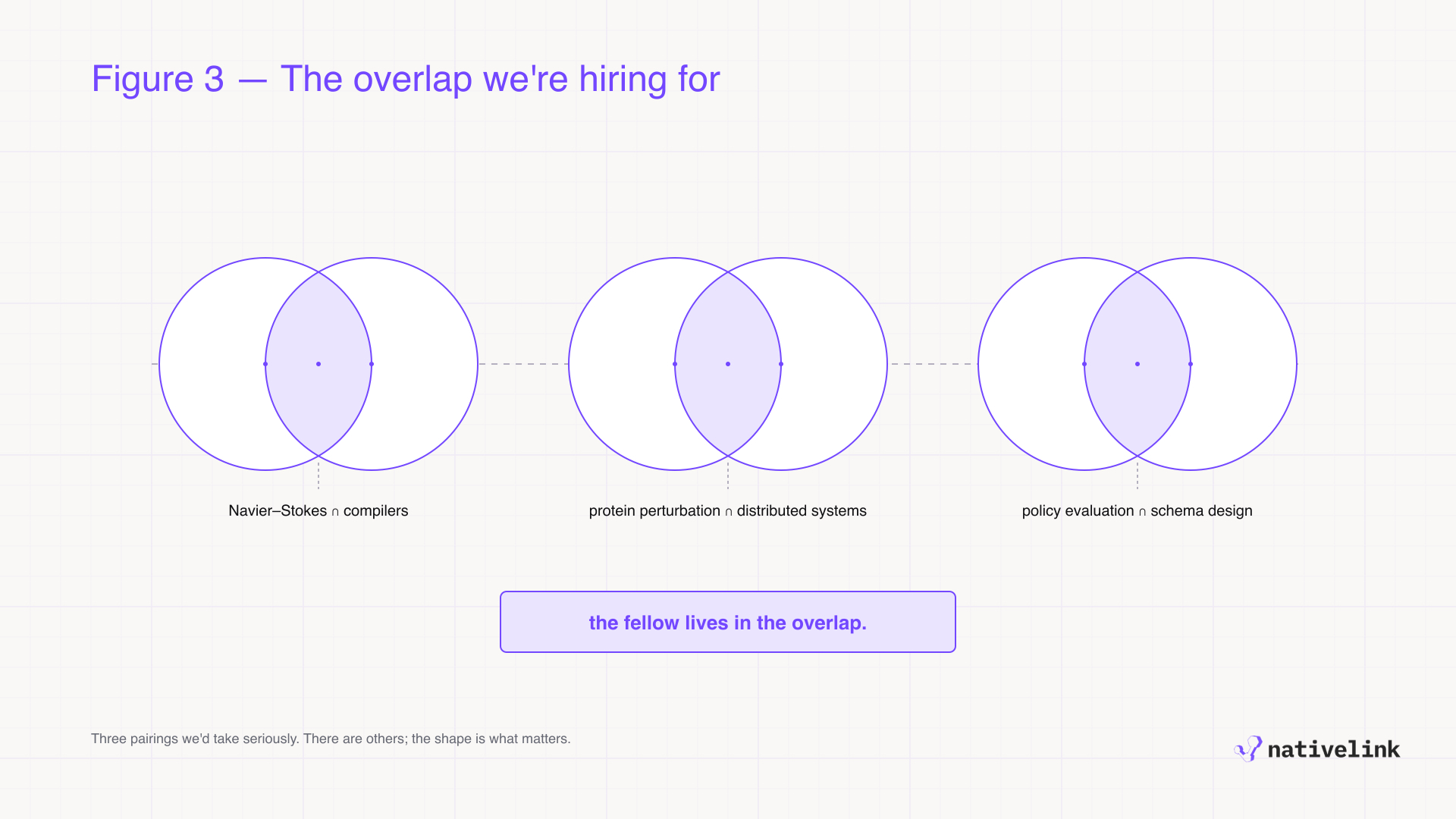 Three Venn diagrams labeled Navier–Stokes and compilers, protein perturbation and distributed systems, and policy evaluation and schema design, with the caption that the fellow lives in the overlap